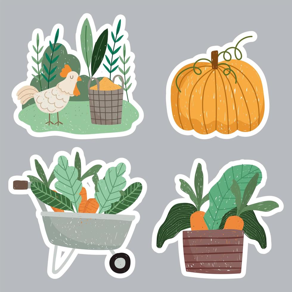 gardening wheelbarrow basket pumpkin carrot vector