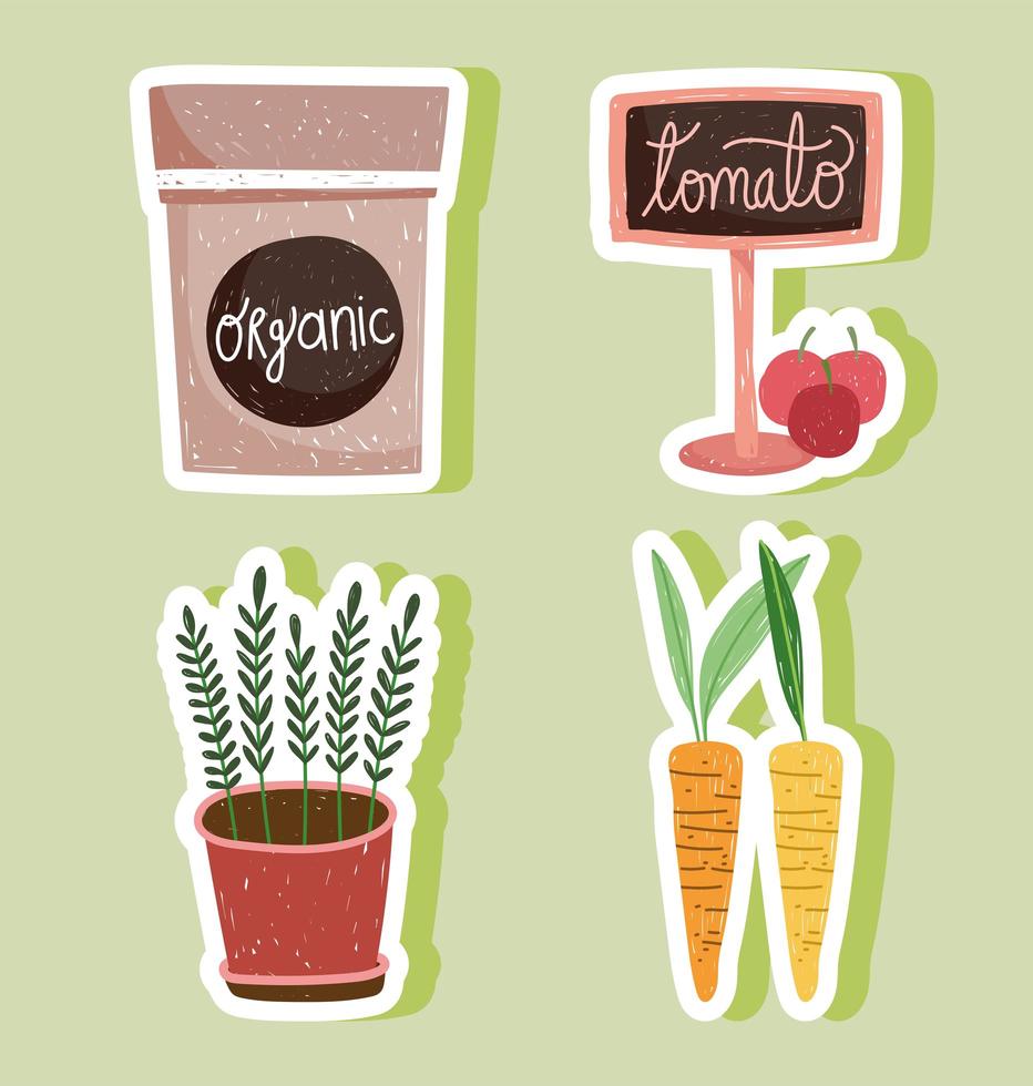 gardening pack organic potted plant carrots and tomatos vector