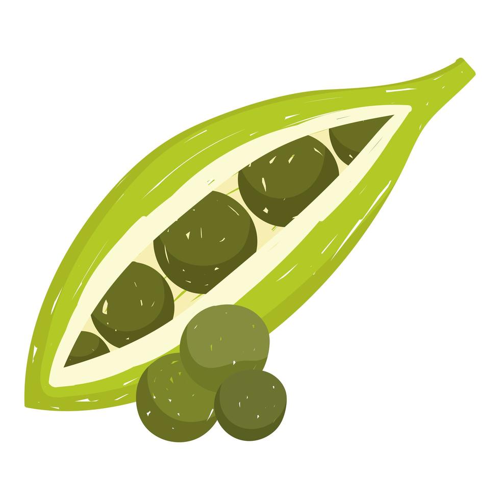 healthy food peas pod vegetables icon isolated style vector