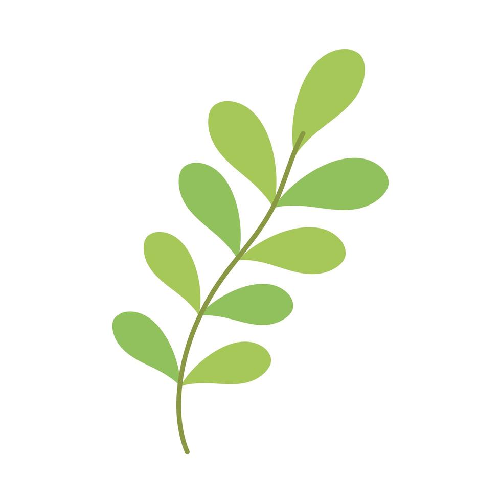 leaves vegetation branch vector