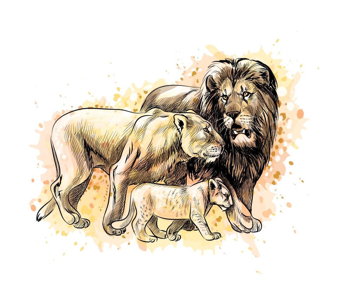 Family of lions from a splash of watercolor hand drawn sketch Vector illustration of paints