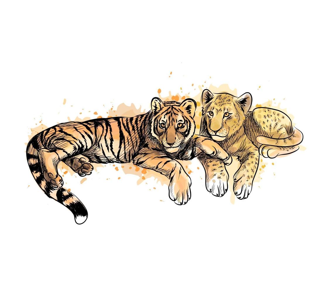 Cachorro de león y cachorro de tigre de un toque de acuarela boceto dibujado a mano ilustración vectorial de pinturas vector