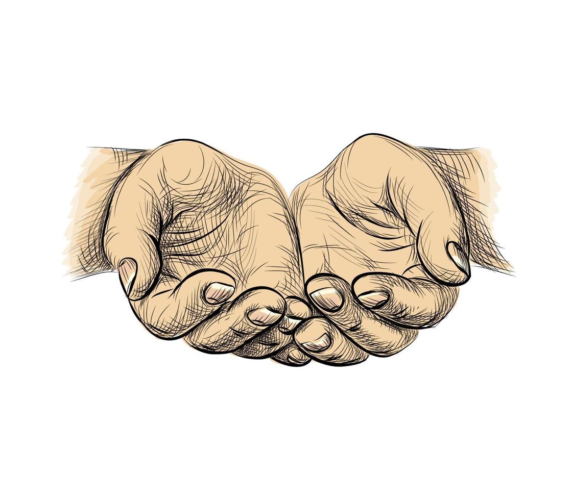 Hands palms together sketch begging hands Vector illustration
