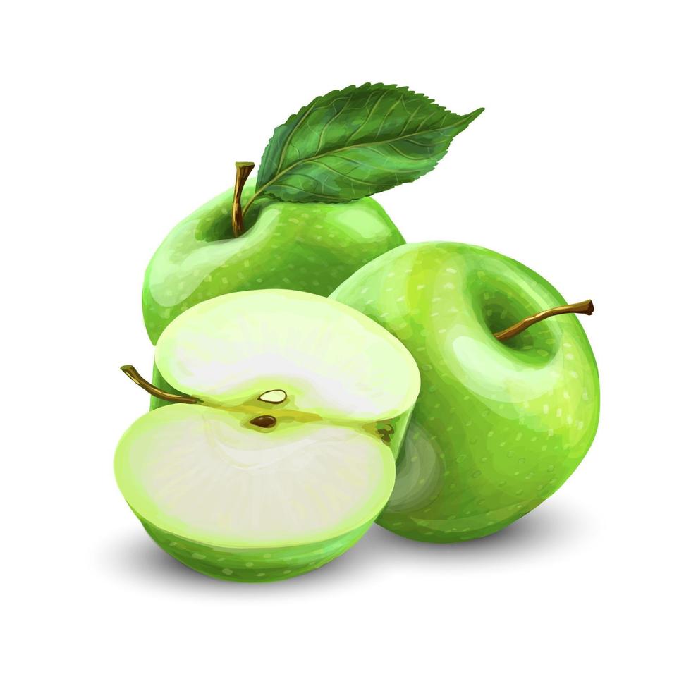 Green Apples with Green Leaves and Apple Slice isolated on white background Vector realistic illustration