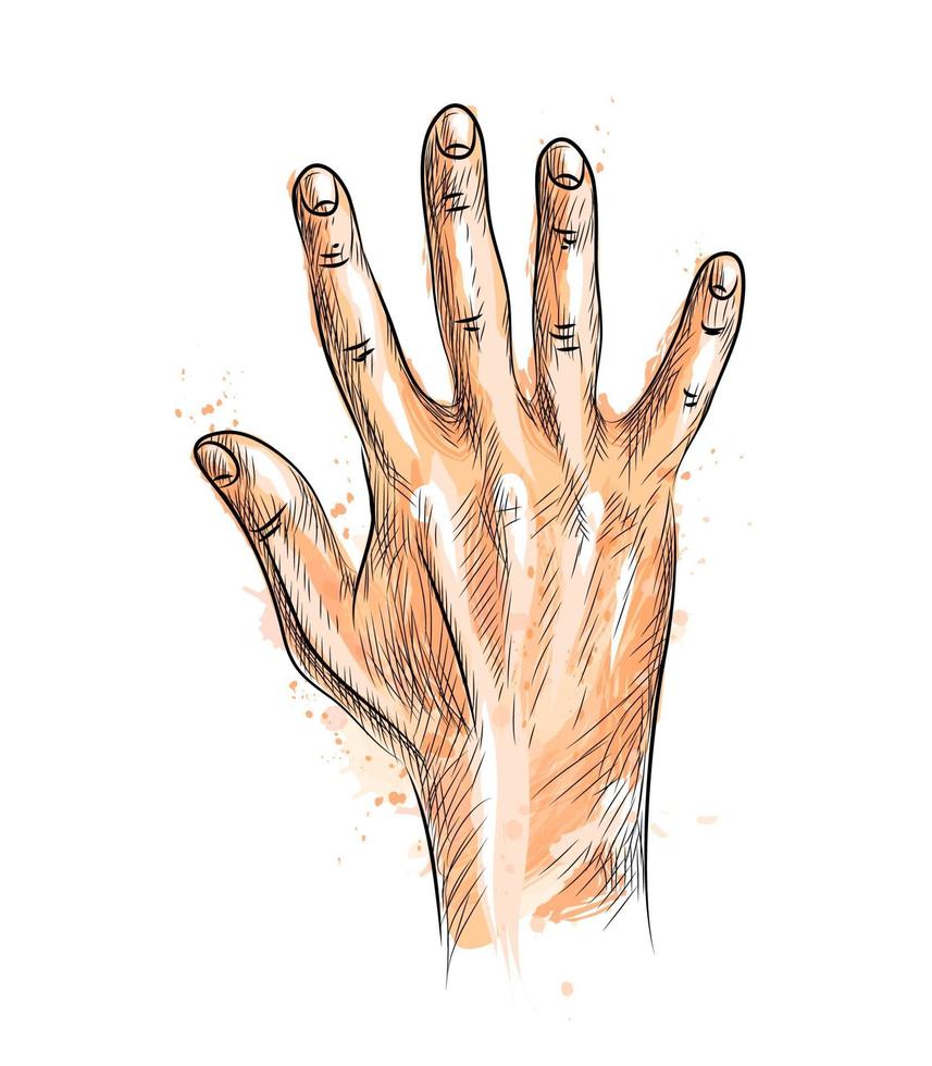 Hand showing five fingers from a splash of watercolor hand drawn sketch Vector illustration of paints