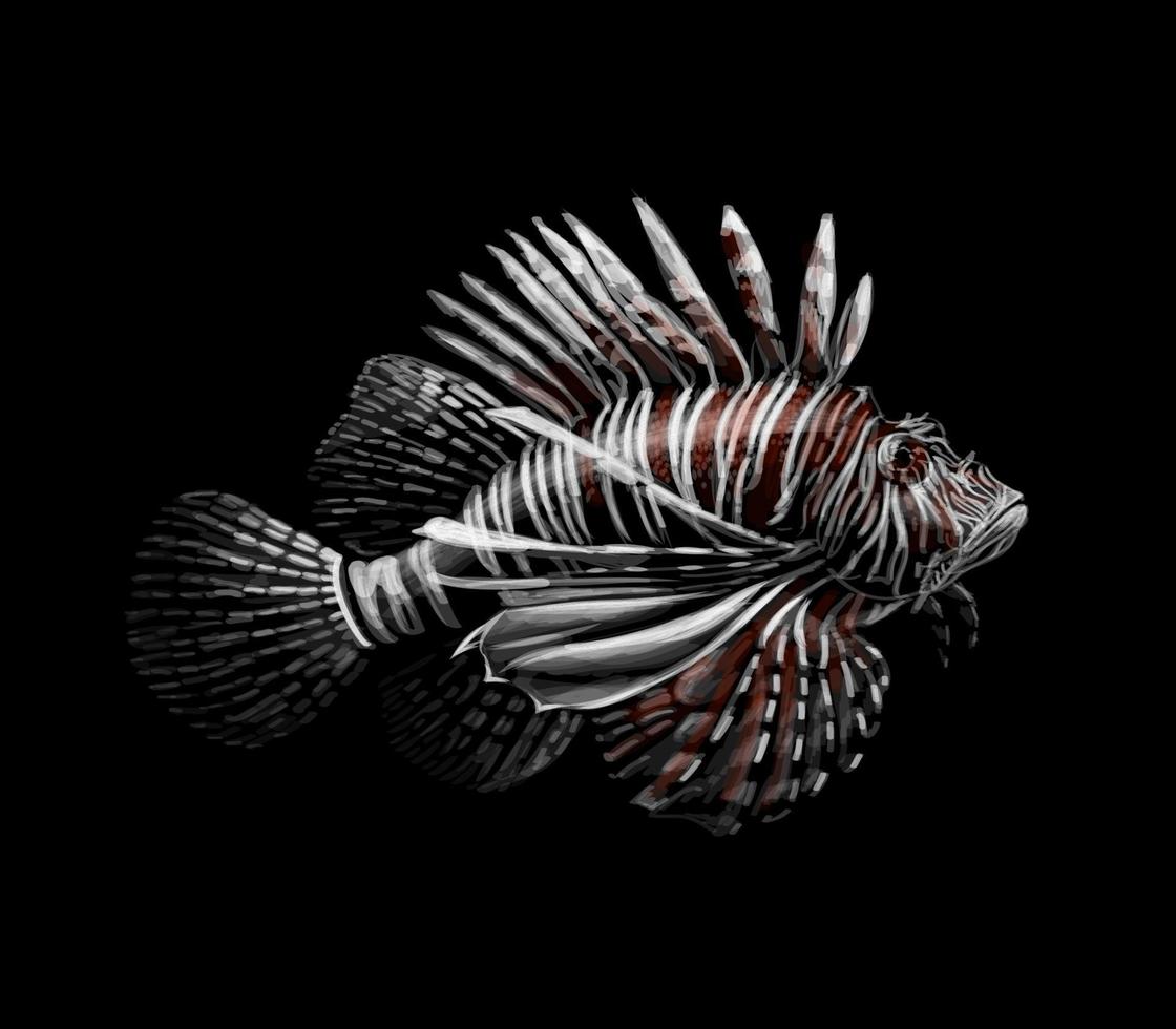 Retrato de peces tropicales de un pez león en una ilustración de vector de fondo negro