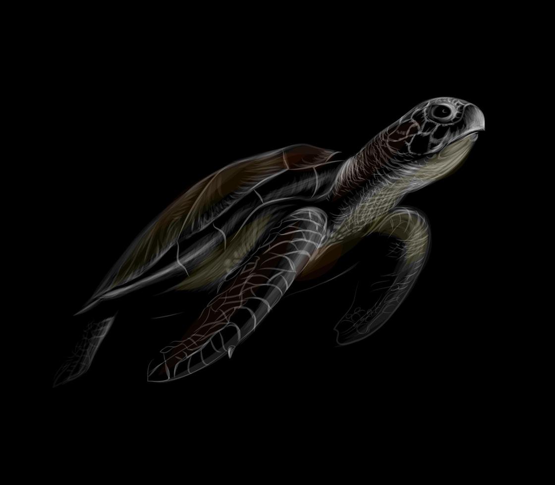 Portrait of a big sea turtle on a black background Vector illustration