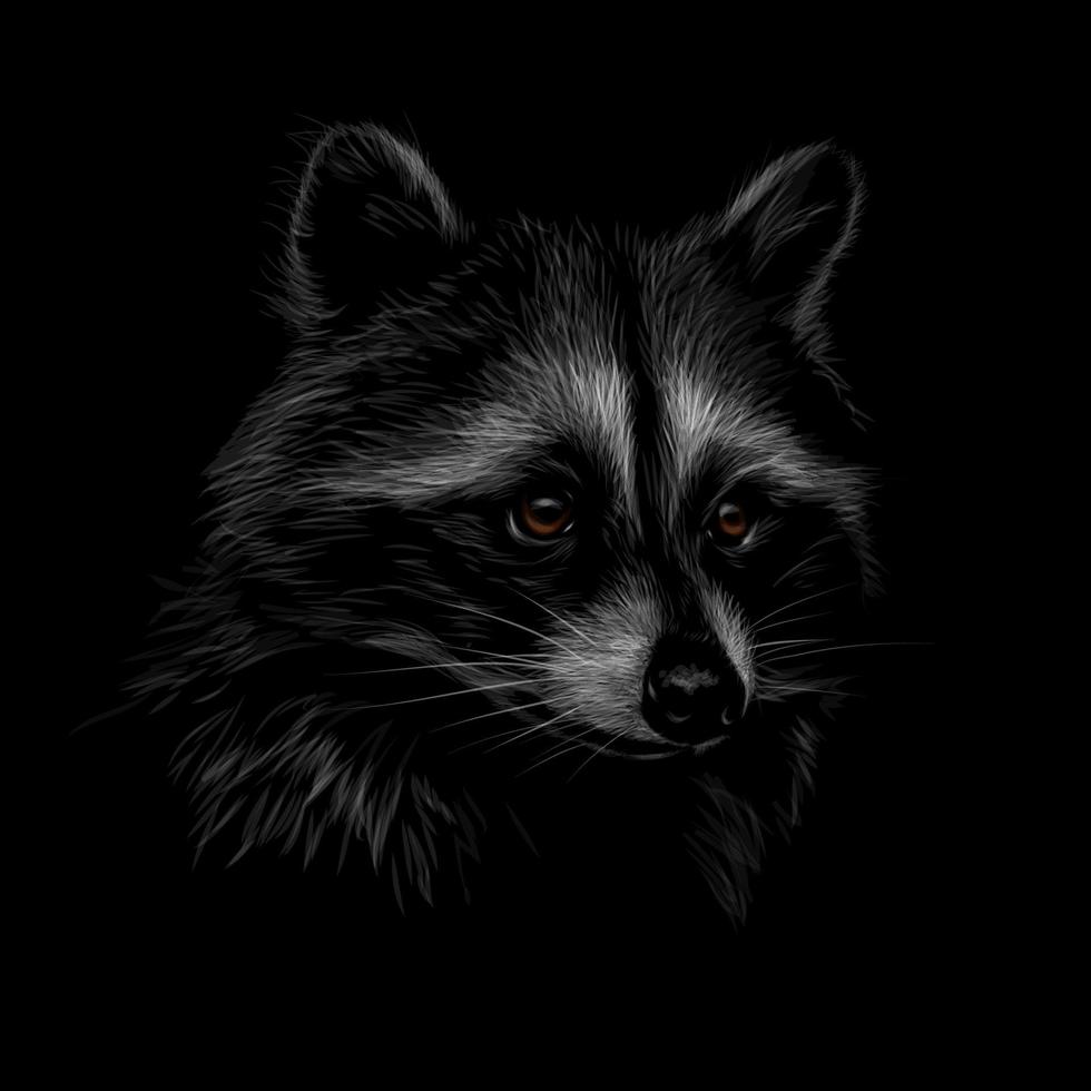 Retrato de un lindo mapache en una ilustración de vector de fondo negro