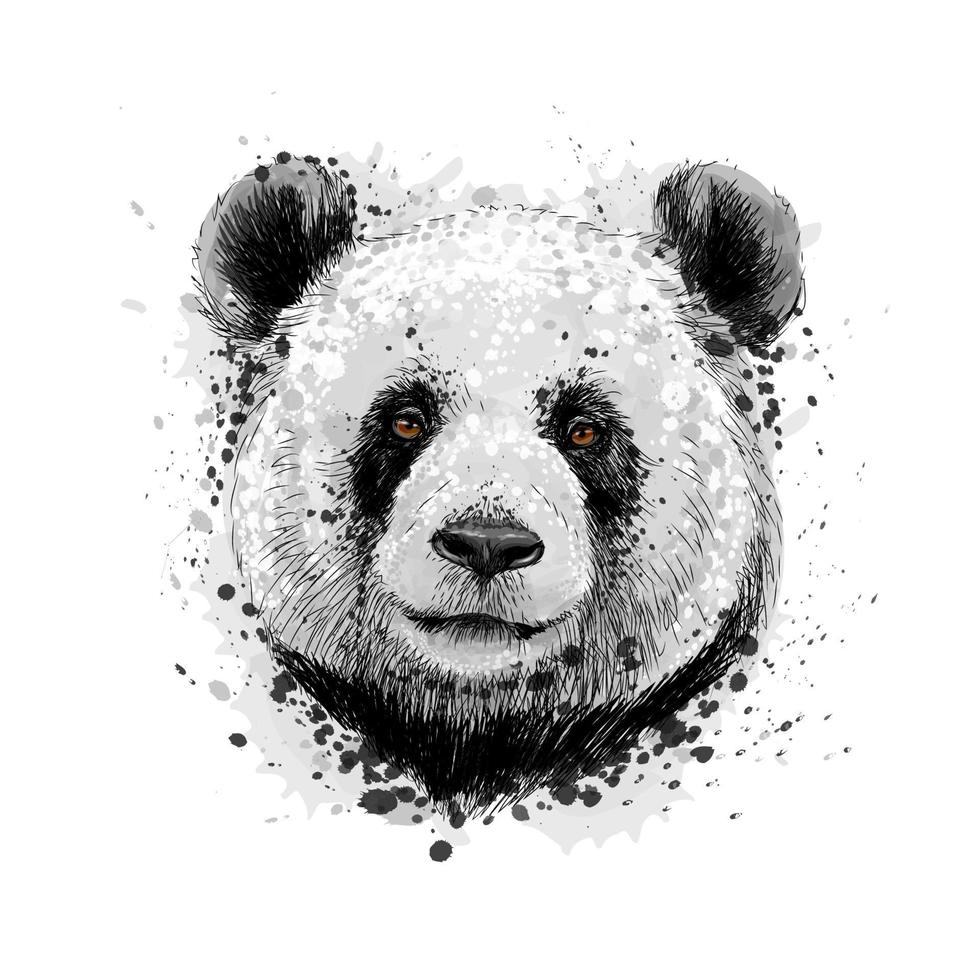 Portrait of a Panda bear from a splash of watercolor hand drawn sketch Vector illustration of paints