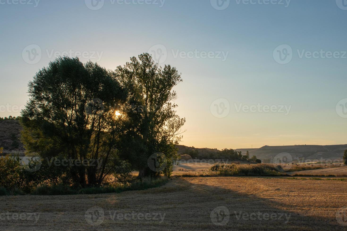 puesta de sol detrás de algunos árboles en el campo agrícola foto