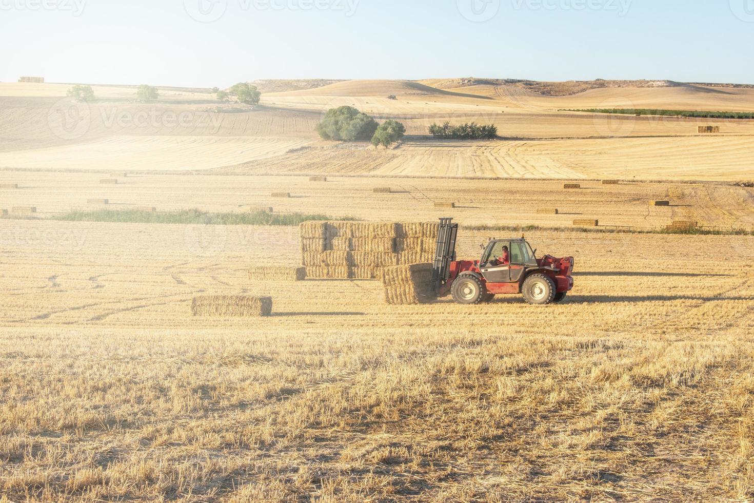 maquinaria agrícola trabajando la tierra en un día soleado foto