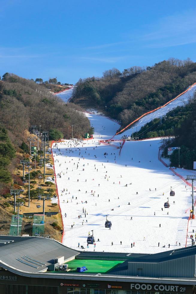 gangwon-do, corea 2016- vivaldi park ski resort foto