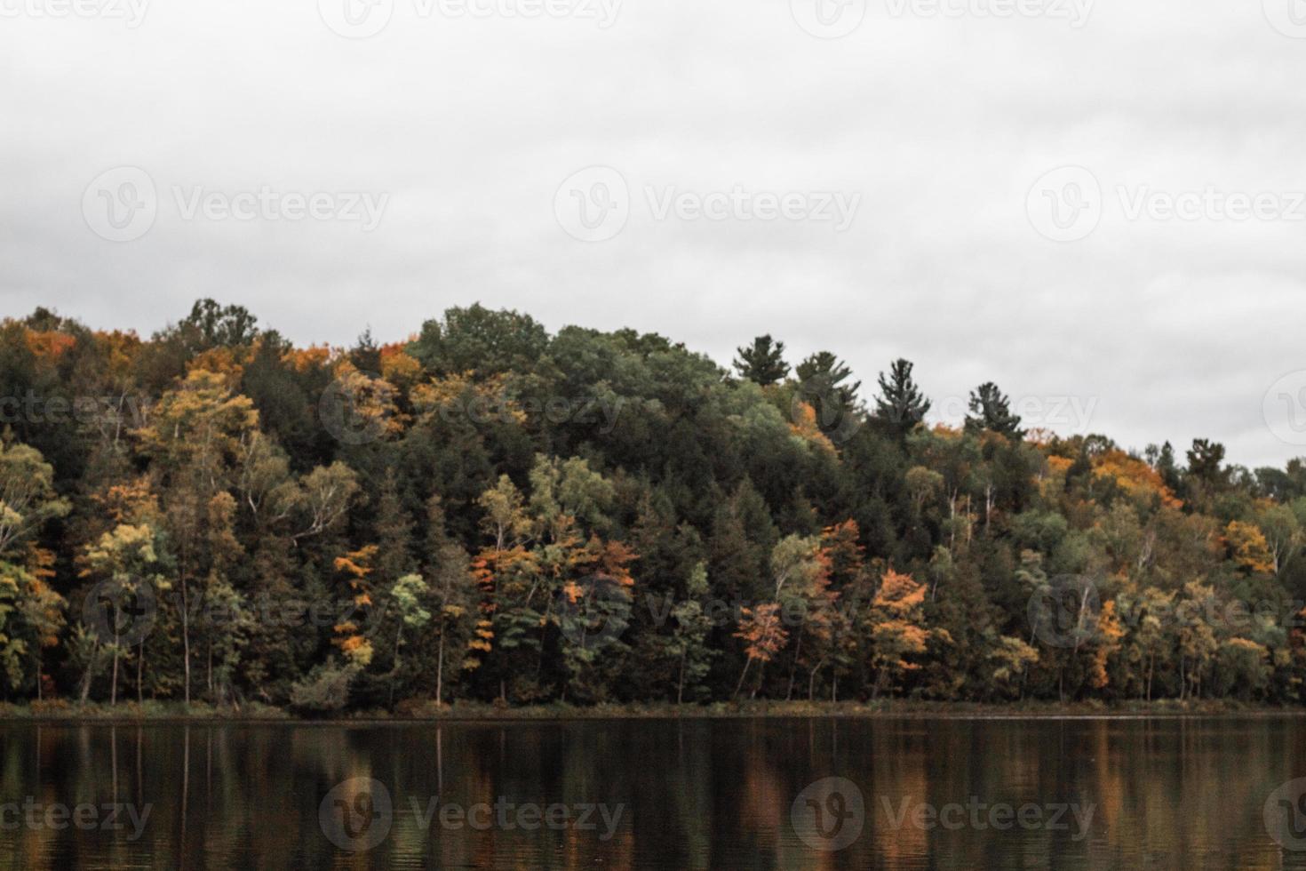 body of water and trees photo