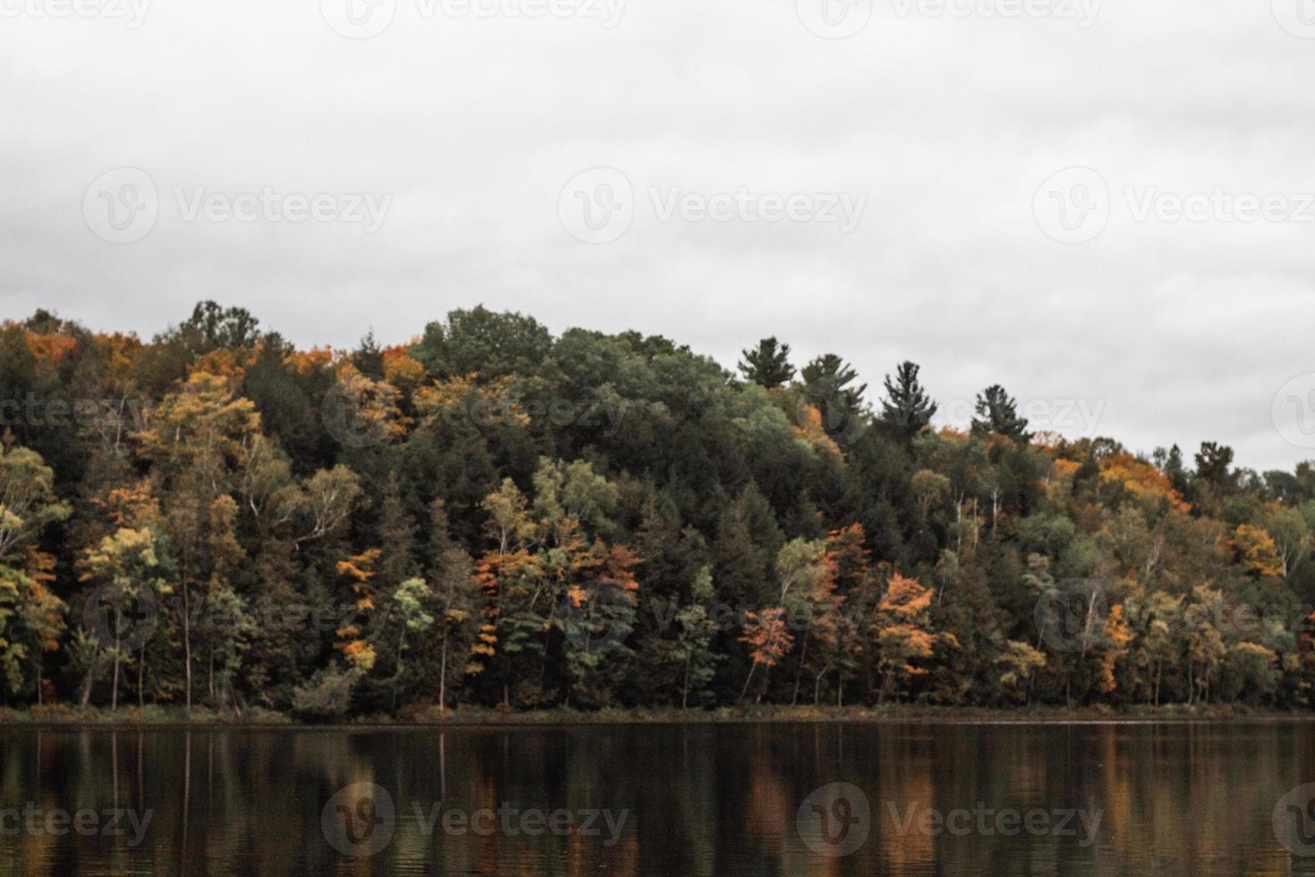 body of water and trees photo