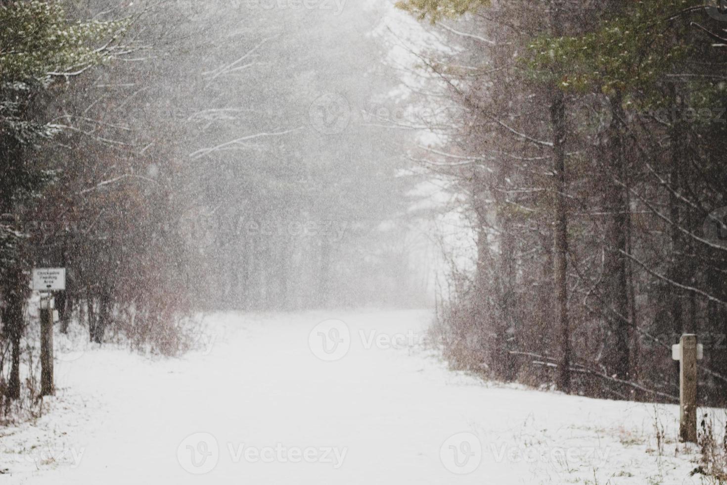 icy surface pathway photo