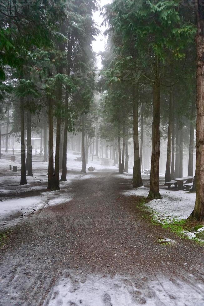 nieve en la montaña en temporada de invierno foto