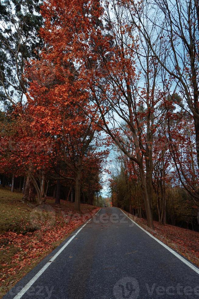 road in the mountain in autumn season photo