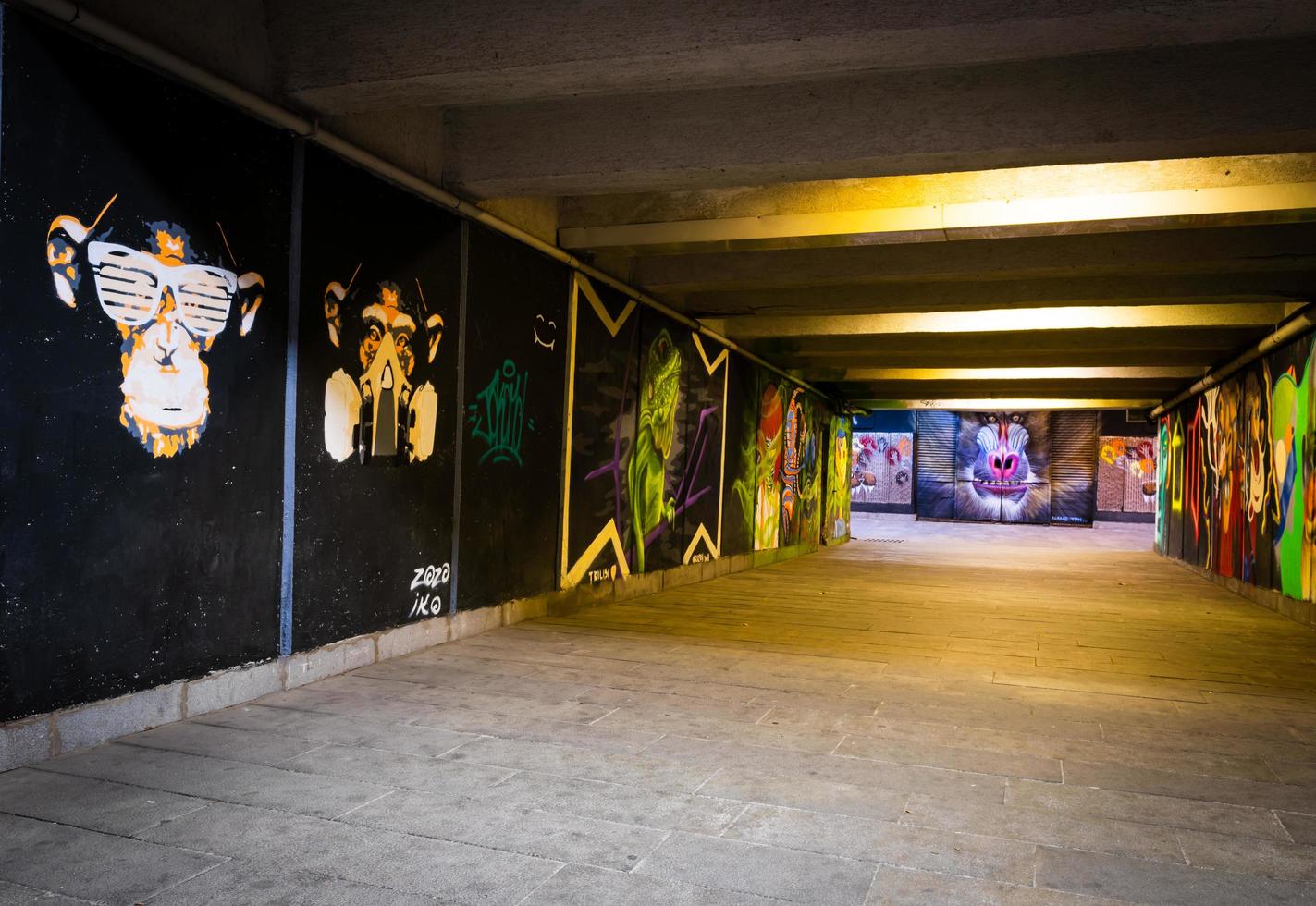 Tbilisi, Georgia 2020- Empty underground passage under Baratashvili Bridge with graffitis art over the walls photo