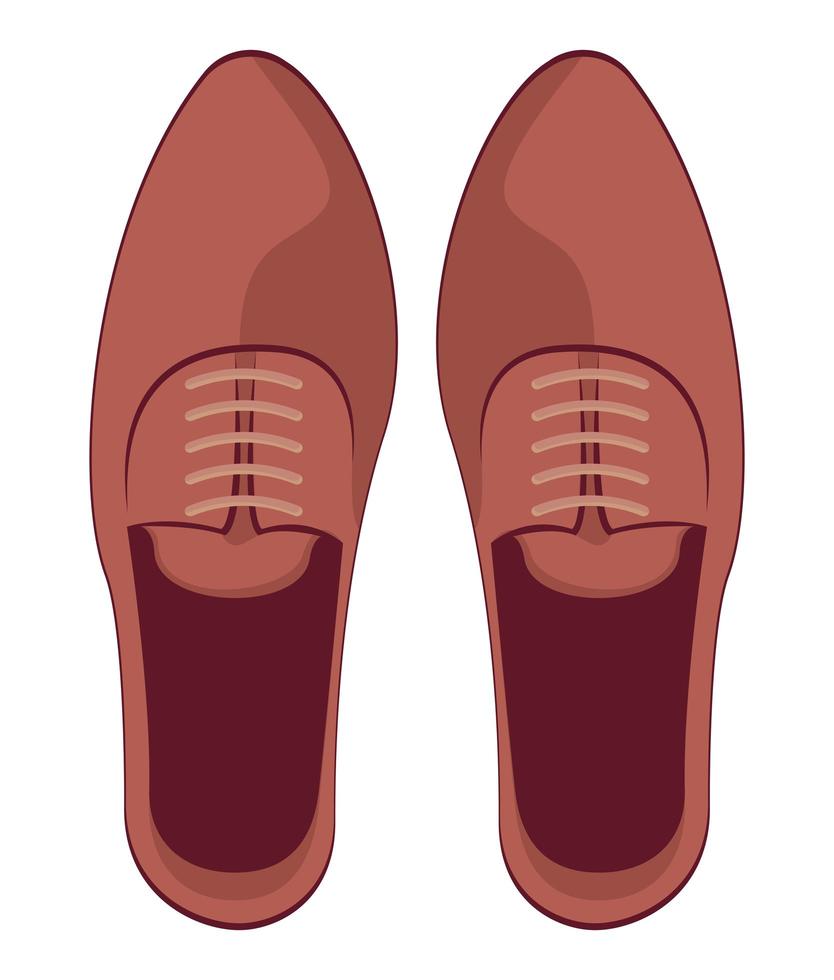 elegant brown shoes vector