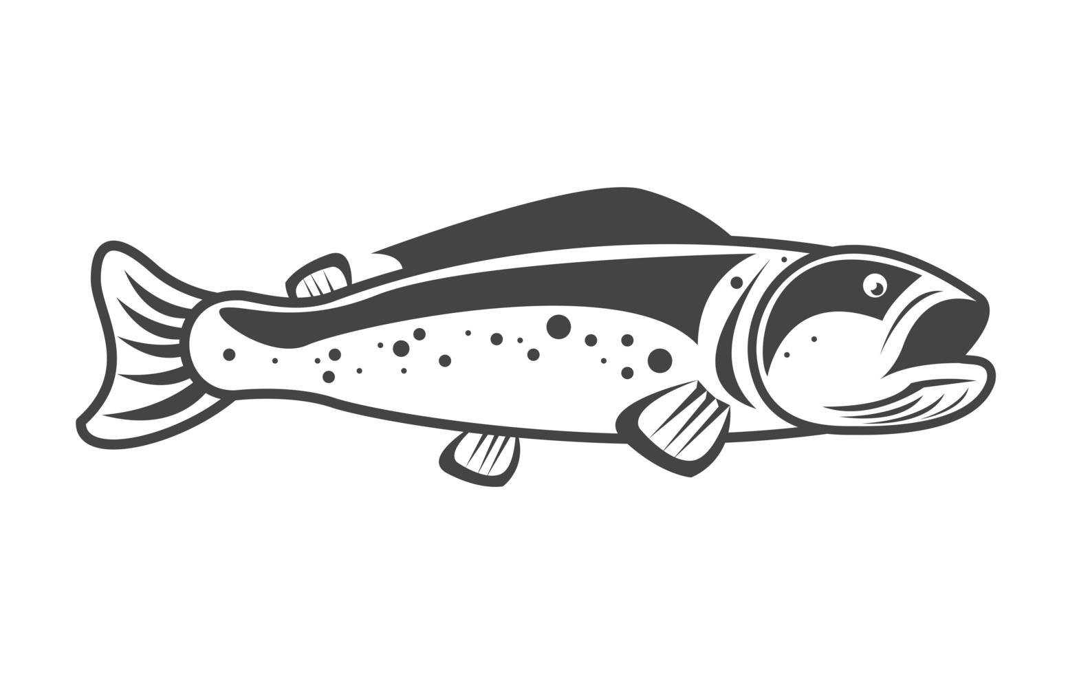 catfish fish sketch vector