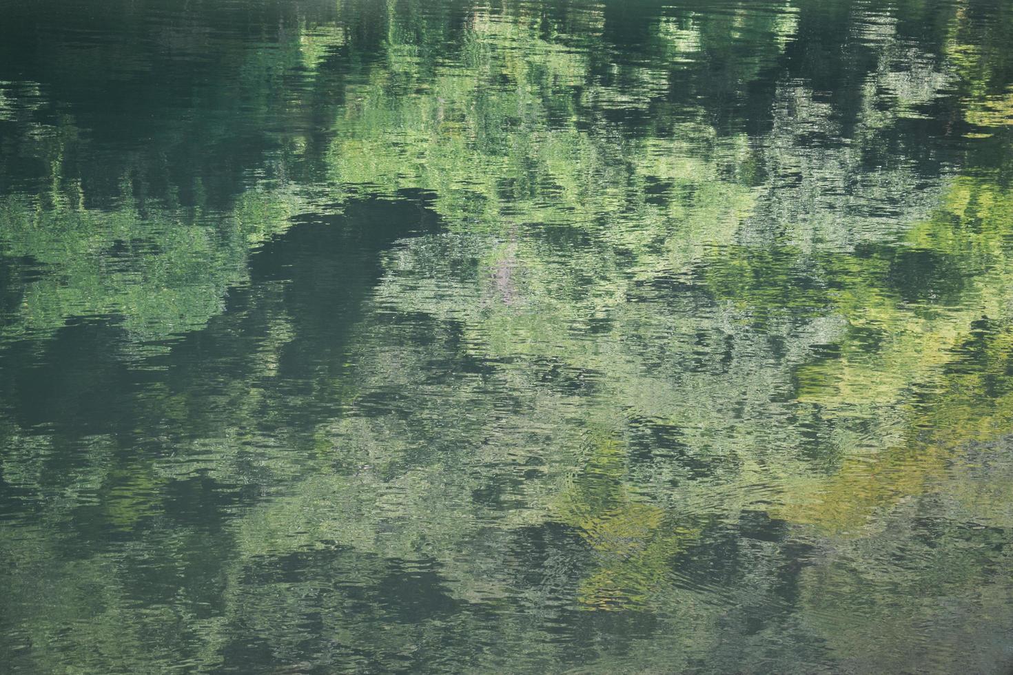 Green and black abstract reflection photo