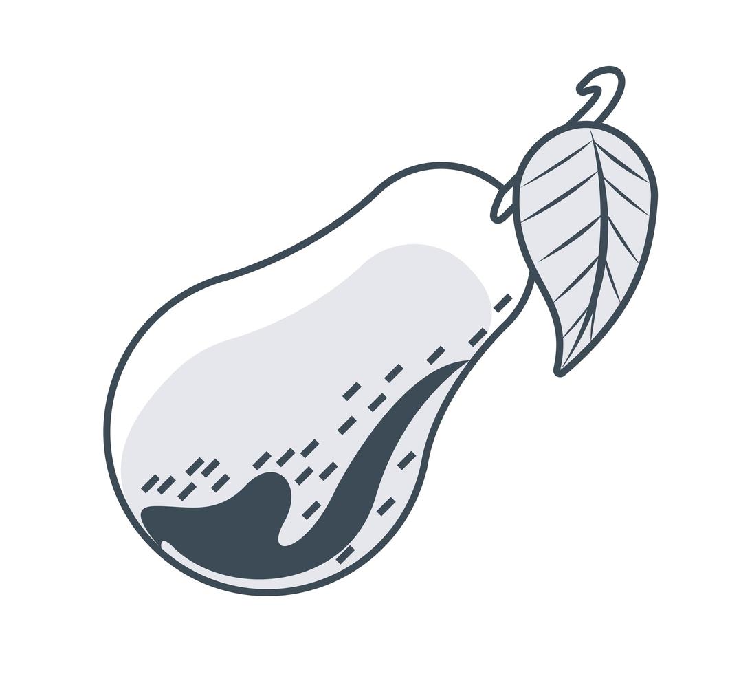 pear sketch icon vector