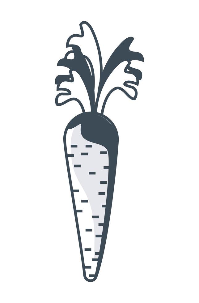 carrot sketch icon vector