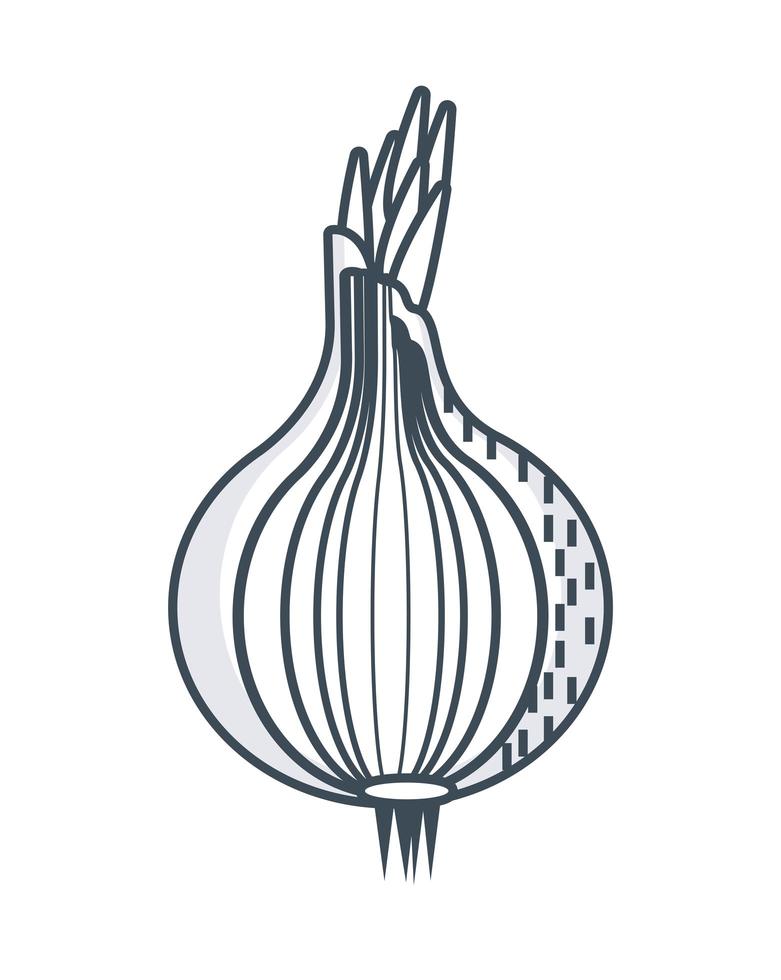 onion sketch icon vector