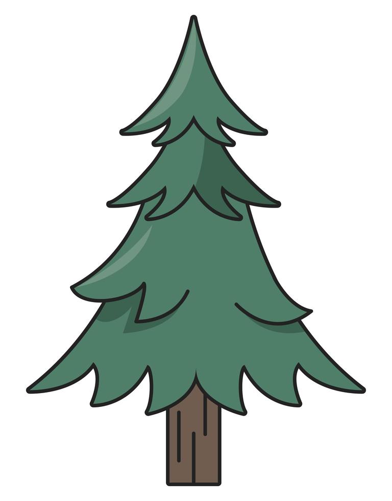 pine tree plant vector