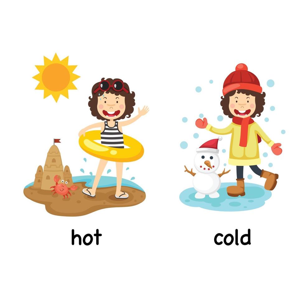 Opposite words hot and cold vector illustration