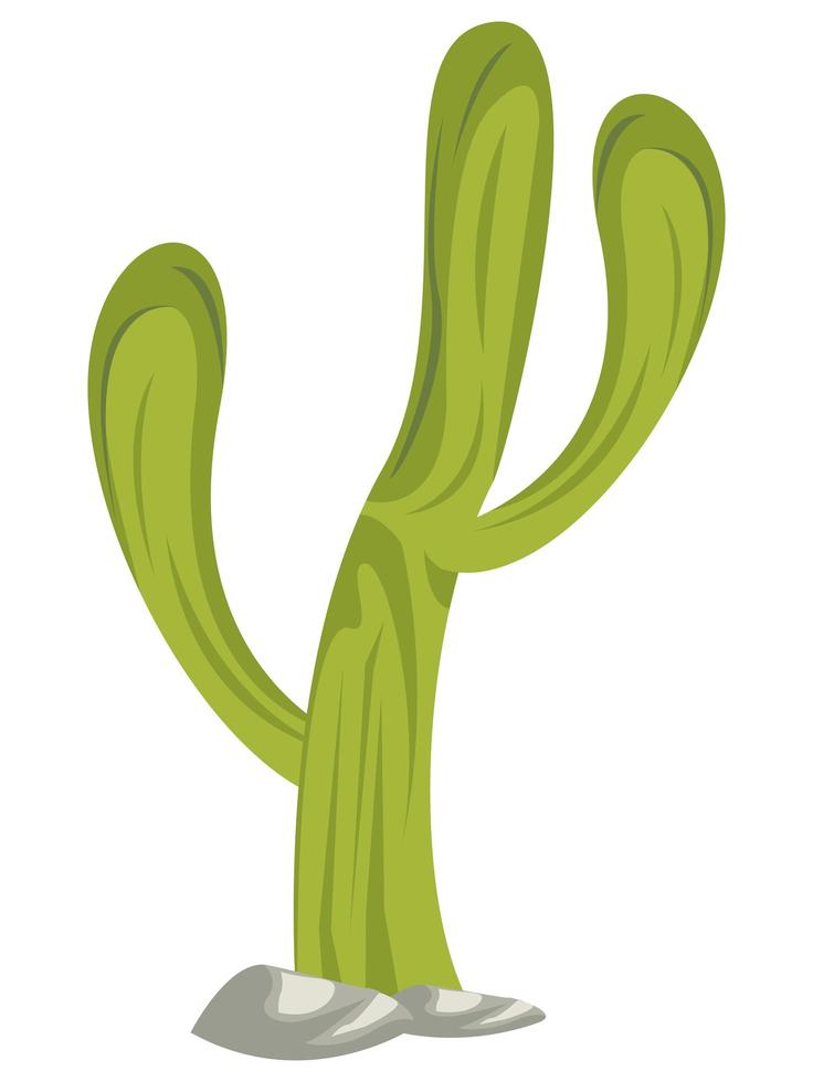 salvaje oeste cactu vector