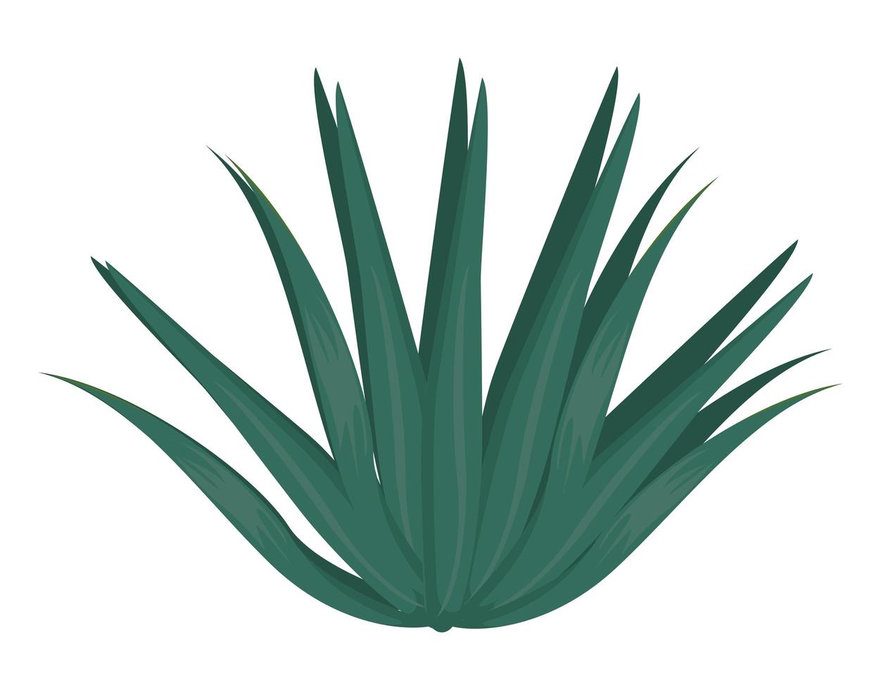 icono de planta tropical vector