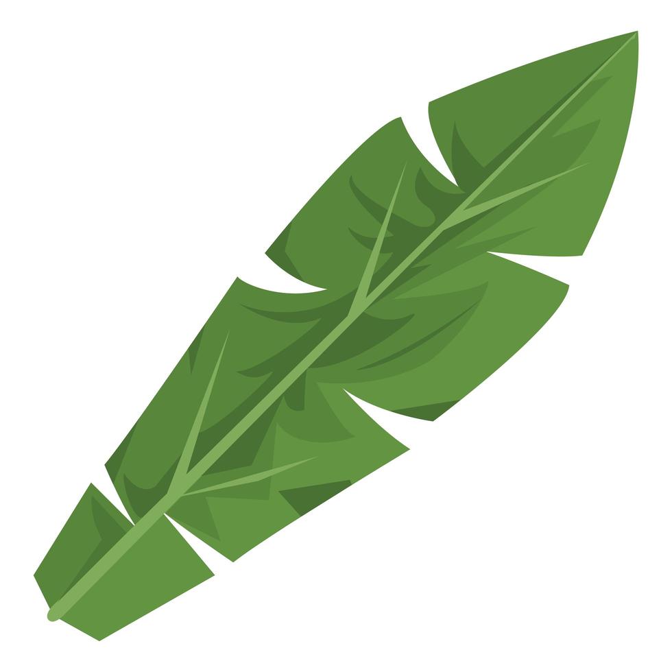 leaf palm tropic vector