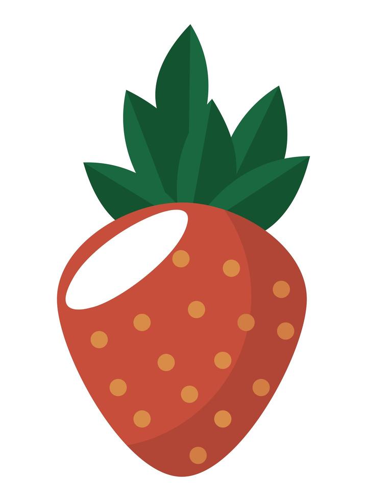 fresa fruta fresca vector