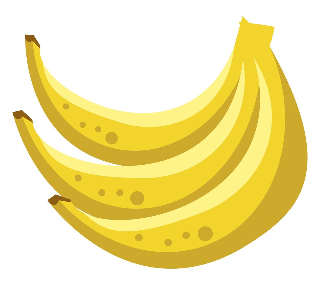 banana fresh fruit vector