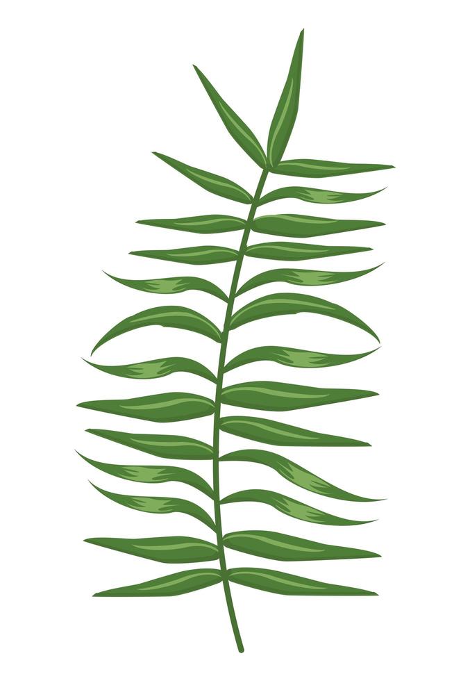 árbol de hojas exóticas vector