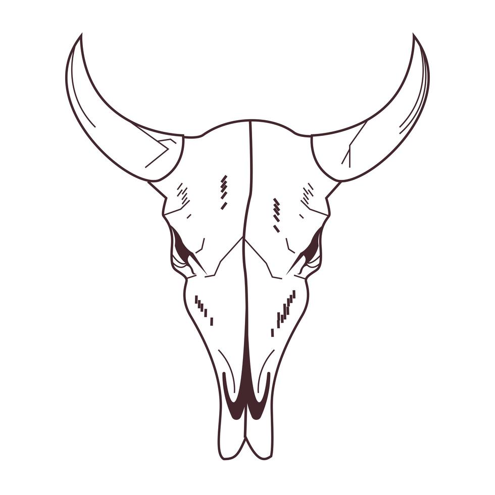 skull head of wild bull icon vector