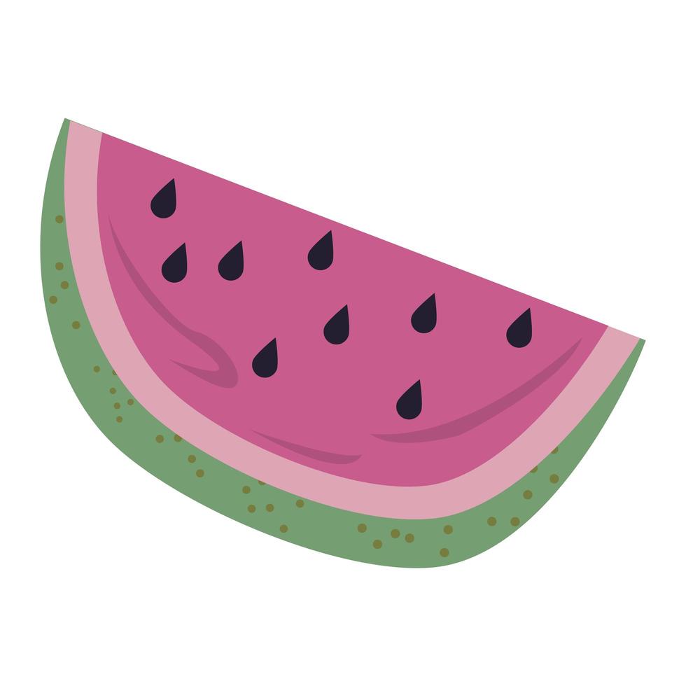 fresh watermelon portion vector