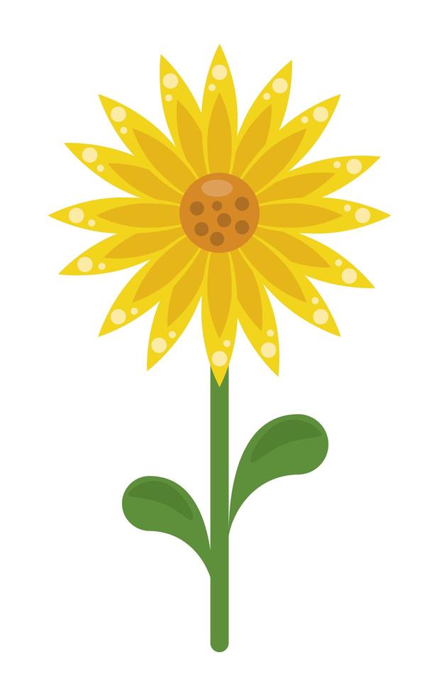 sunflower garden icon vector