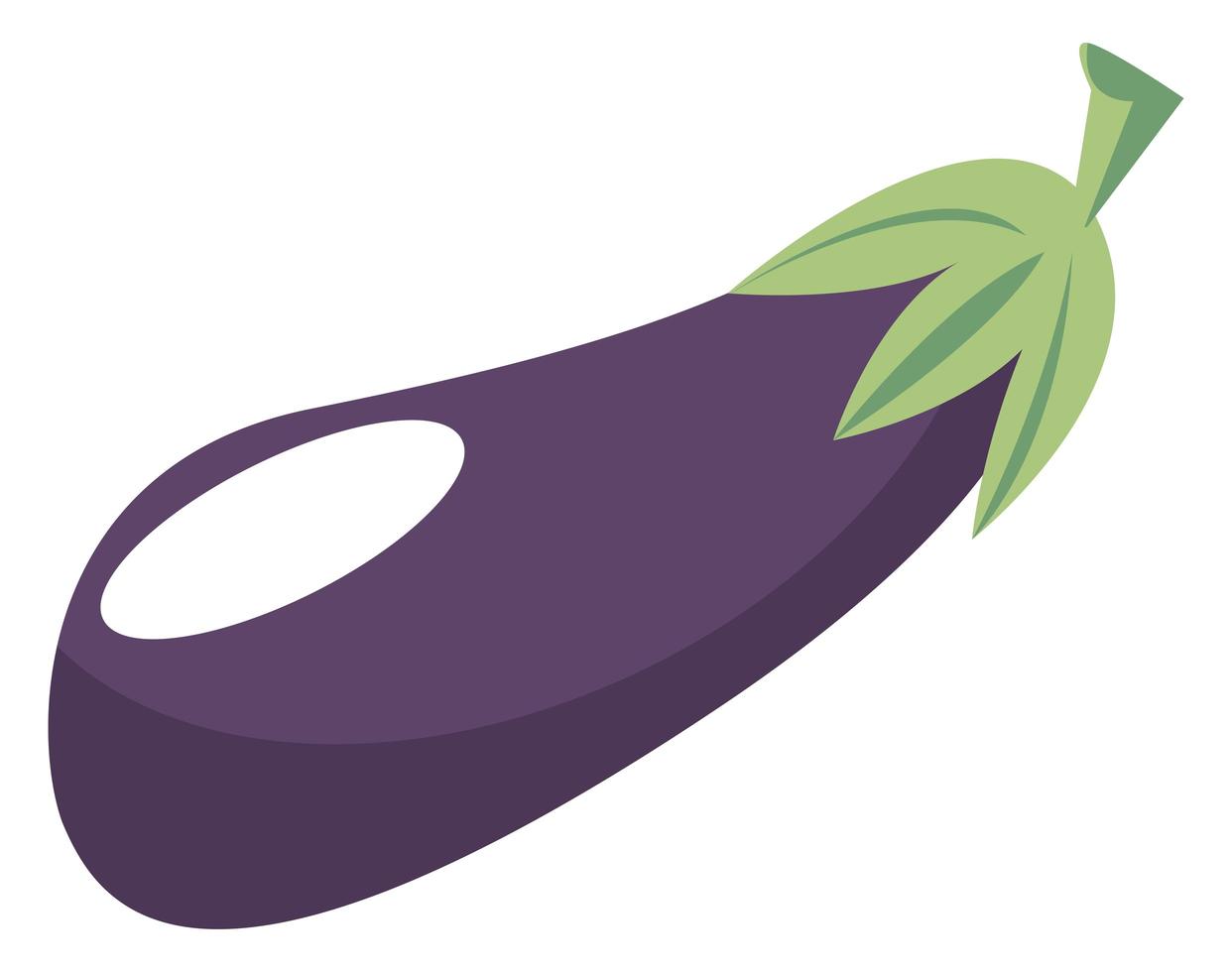 eggplant vegetable icon vector