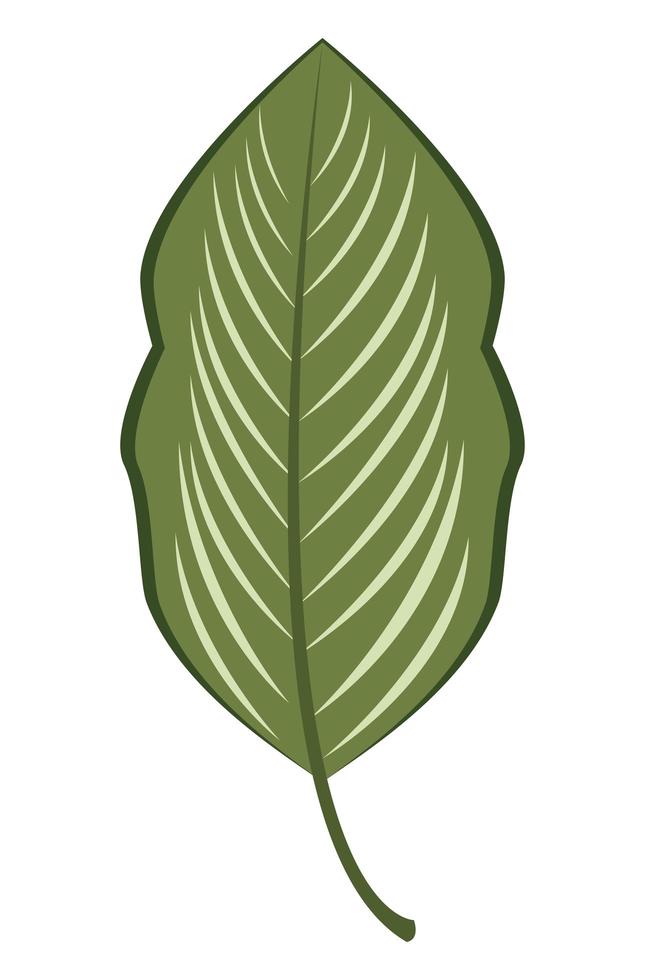 green leave plant vector