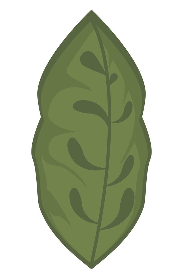 planta de hoja verde vector