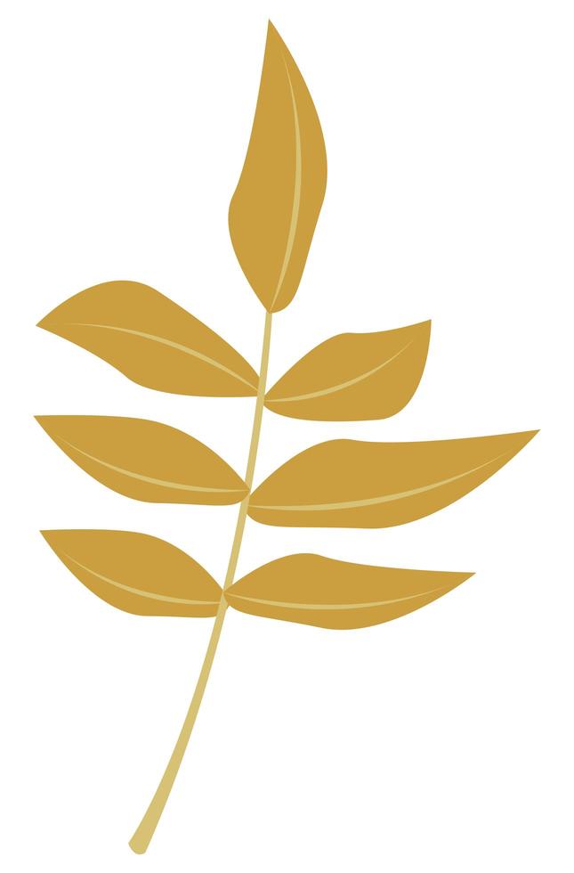 yellow leafs branch vector