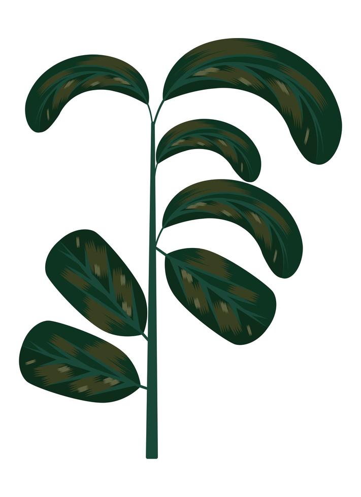 branch with leafs vector