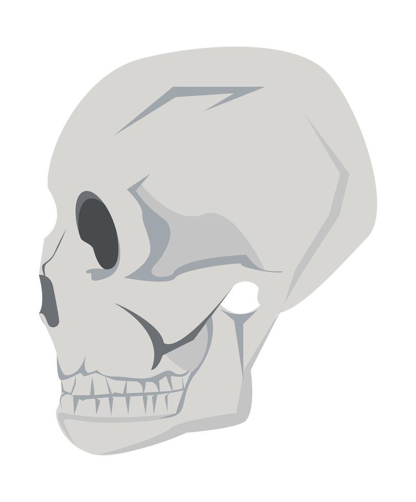 profile head skull vector