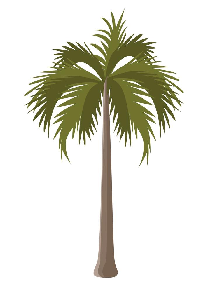 palmera de verano vector