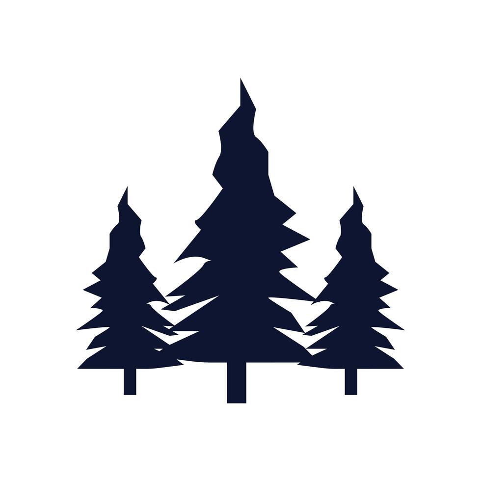 pines trees forest vector