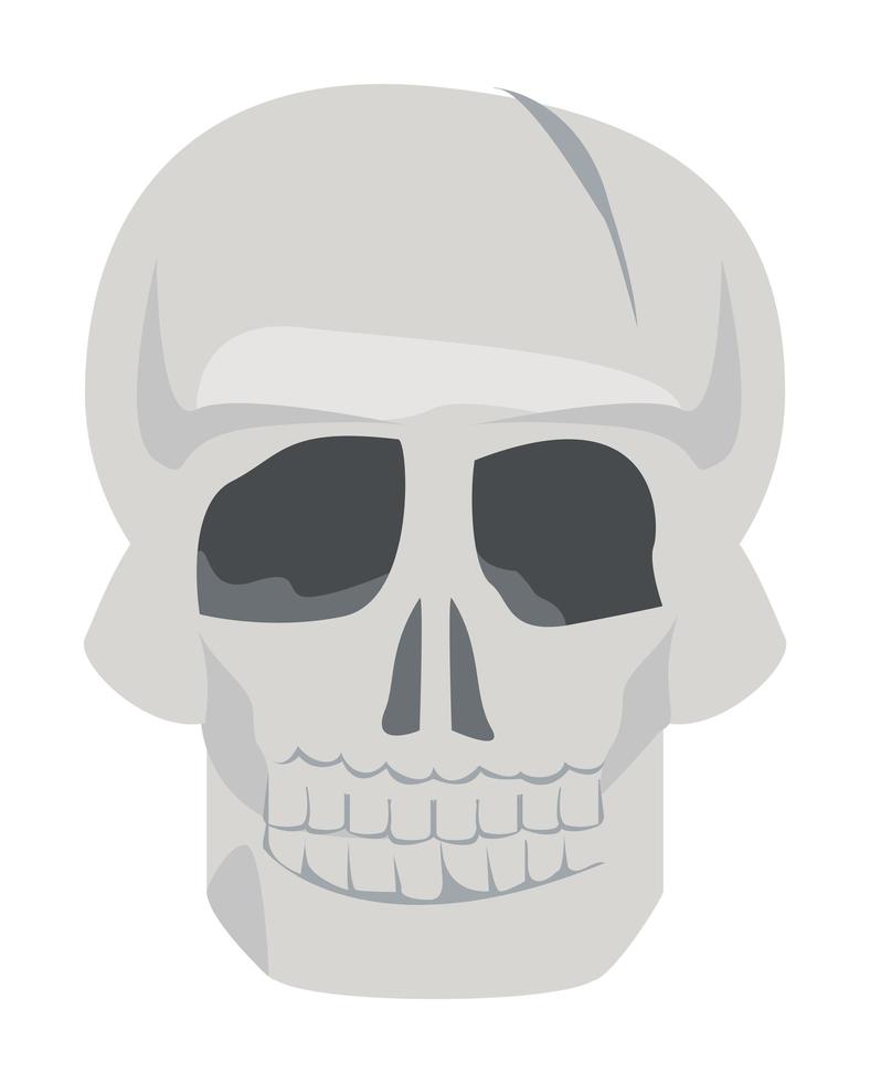 front head skull vector