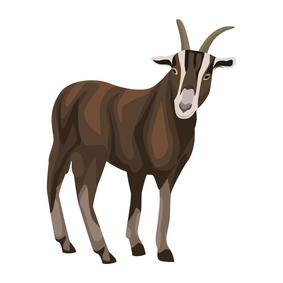 goat farm animal vector