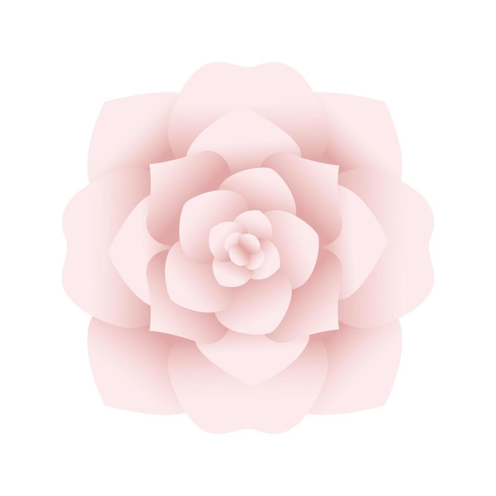 rose pink flower vector